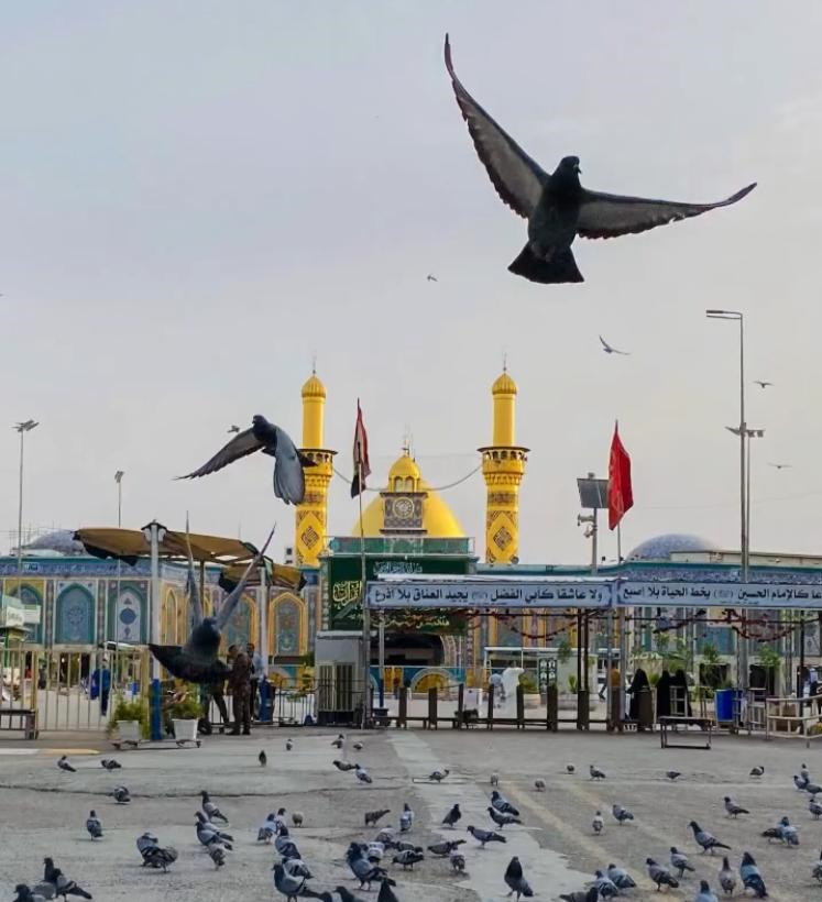 دلالی به سفرهای زیارتی هم رسید/ ویزای عراق ۱۵۰ دلار!