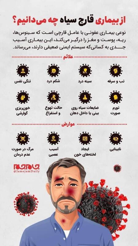 قارچ سیاه