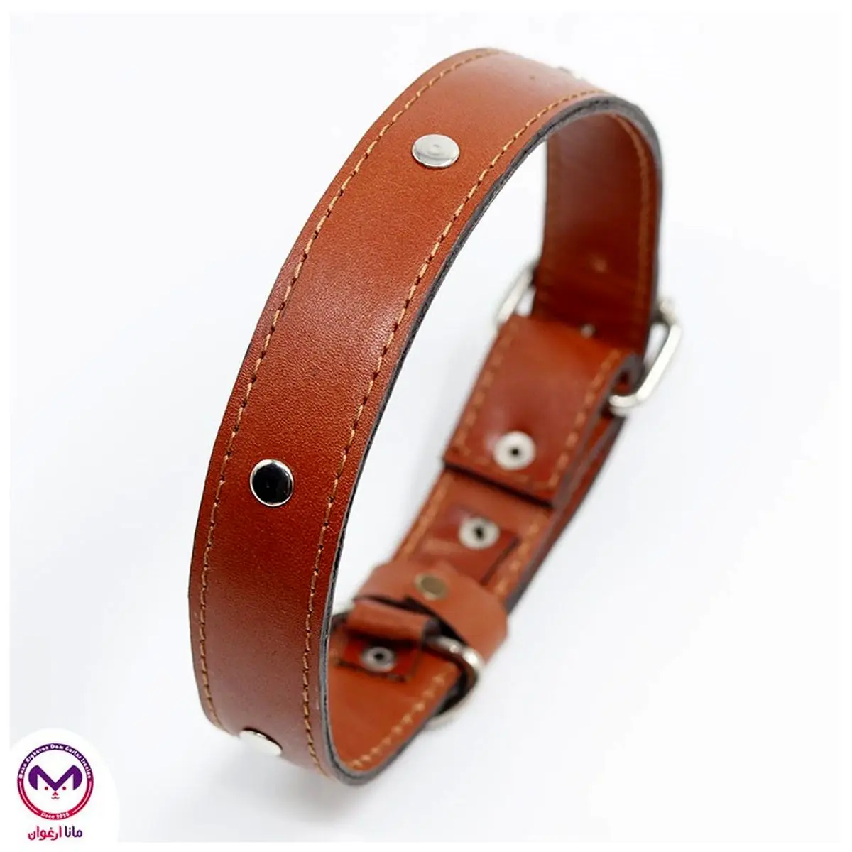 نگهداری یک سگ خانگی چقدر آب میخورد؟ نگهداری یک سگ خانگی چقدر آب میخورد؟