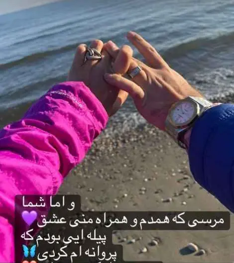 رونمایی از همسر وزیر نفیسه روشن نفیسه روشن