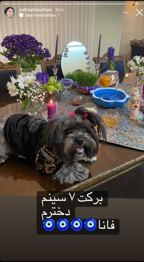 جدایی نفیسه روشن از همسر وزیرش؟ | کنایه سنگین نفیسه روشن به همسر وزیرش نفیسه روشن