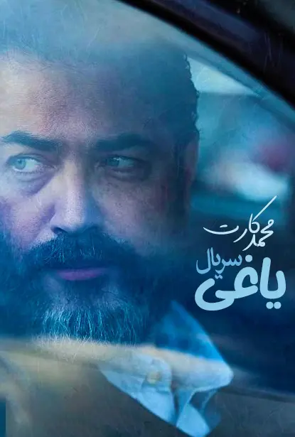 پارسا پیروزفر