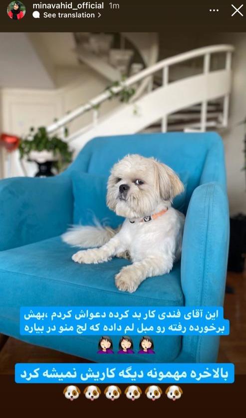 چهره وحشتناک مینا وحید | چه بلایی بر سر مینا وحید در ترکیه آمده است؟ مینا وحید