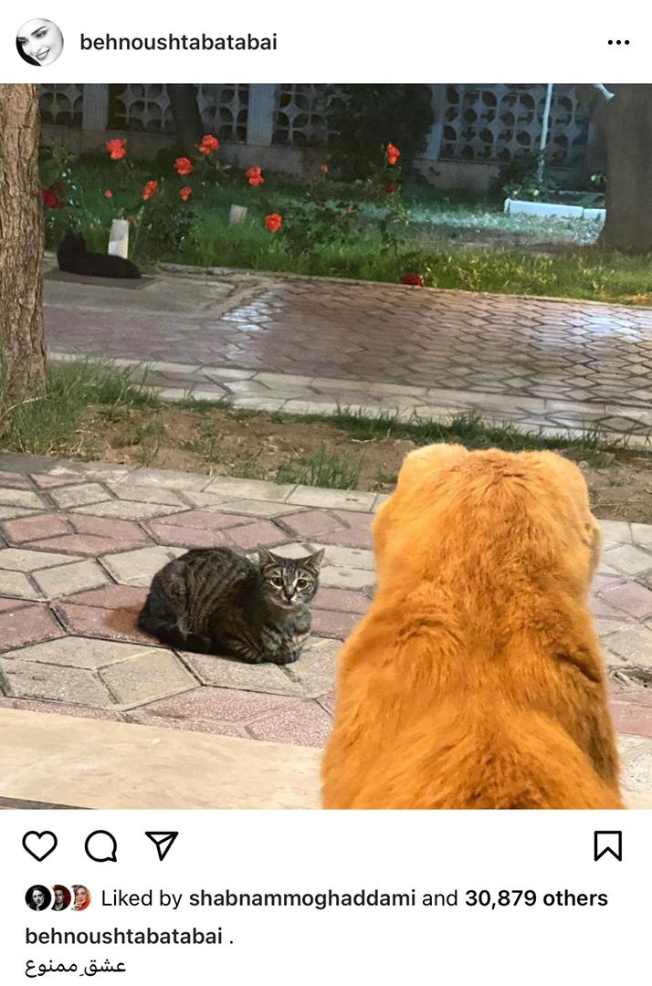 بهنوش طباطبایی