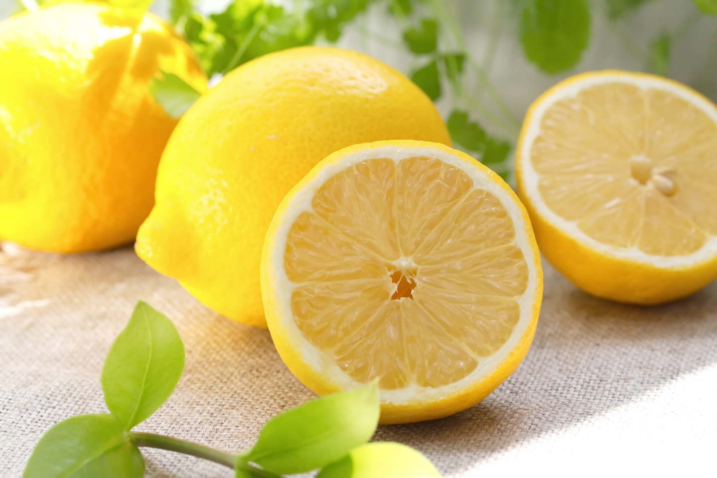 اسید سیتریک چیست و آیا برای شما مضر است؟