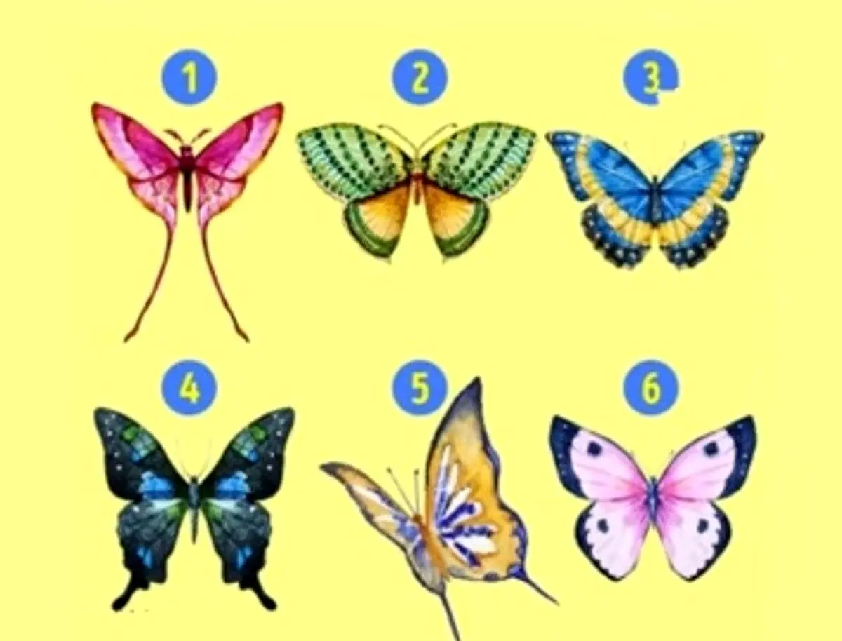 یه پروانه رو انتخاب کن تا بگم چقدر تو زندگیت راستگویی | تست شخصیت یه پروانه رو انتخاب کن تا بگم چقدر تو زندگیت راستگویی | تست شخصیت