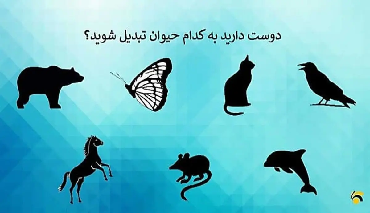 بگو دوست داری کدوم حیوون بشی تا بگم چقدر قدرت داری | تست روانشناسی بگو دوست داری کدوم حیوون بشی تا بگم چقدر قدرت داری | تست روانشناسی