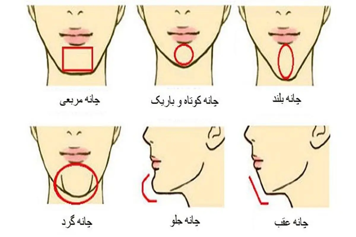 ببین فرم چونه ات چه شکلیه تا بهت بگم چقدر پرخاشگری | تست شخصیت شناسی ببین فرم چونه ات چه شکلیه تا بهت بگم چقدر پرخاشگری | تست شخصیت شناسی