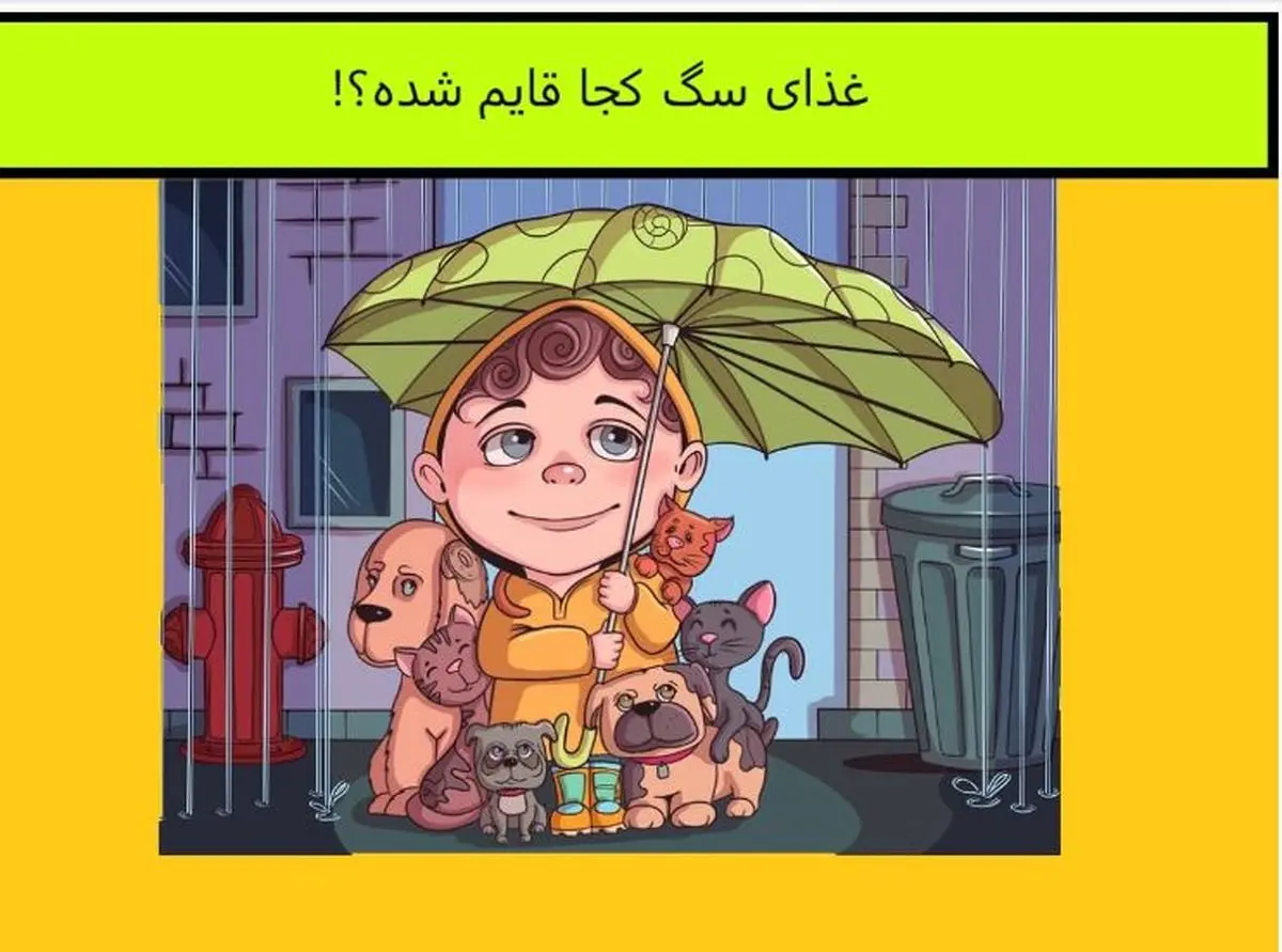تو 5 ثانیه بگو غذای سگ کجاست | تست هوش تو 5 ثانیه بگو غذای سگ کجاست | تست هوش