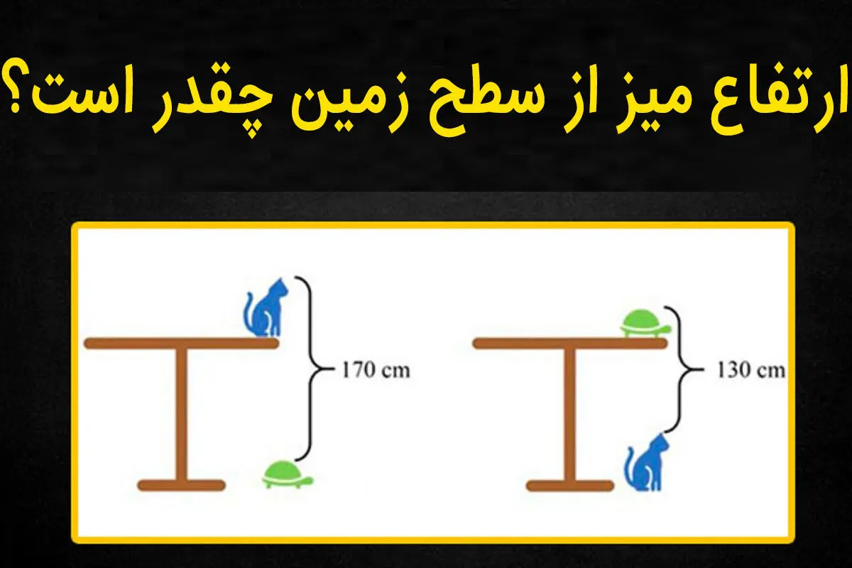 فقط نابغه ها تونستن جواب این سوال و بدن | تست هوش فقط نابغه ها تونستن جواب این سوال و بدن | تست هوش