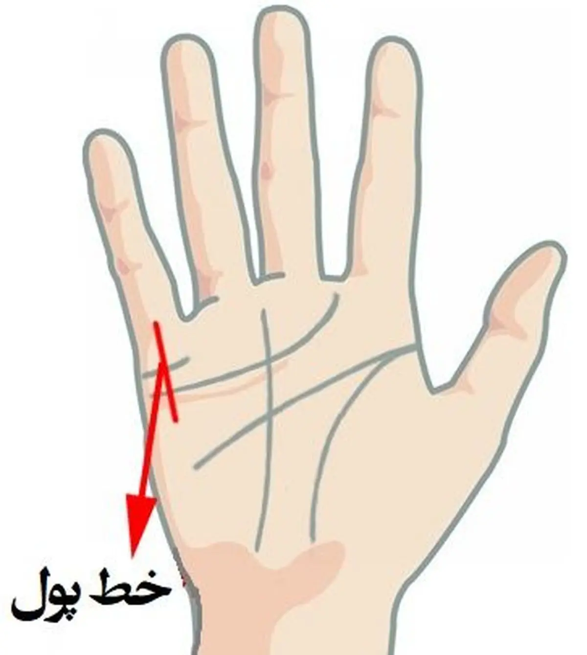 خط ثروت دست تو ببین تا بگم تو آیندت چقدر پولدار میشی | تست شخصیت شناسی خط ثروت دست تو ببین تا بگم تو آیندت چقدر پولدار میشی | تست شخصیت شناسی