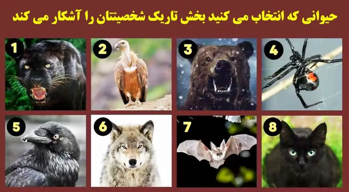 کدوم حیوان و دوست داری تا ویژگی تاریک شخصیتتو بگم | تست شخصیت شناسی کدوم حیوان و دوست داری تا ویژگی تاریک شخصیتتو بگم | تست شخصیت شناسی