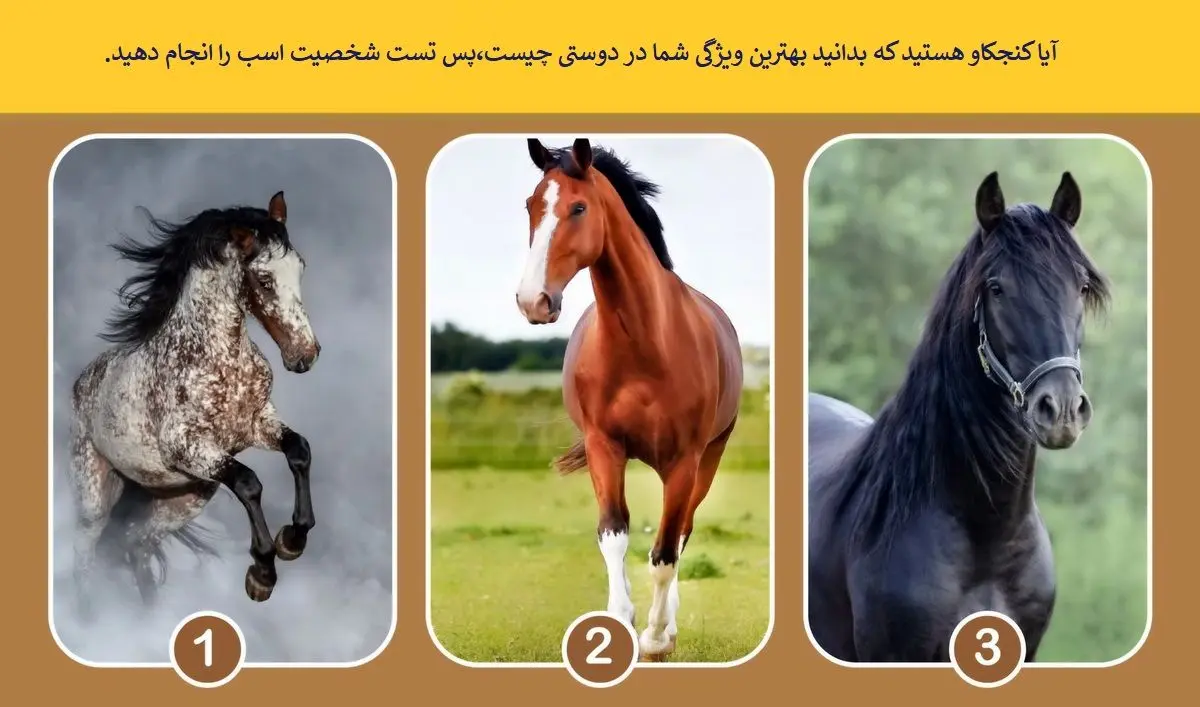 اسب جذاب و انتخاب کن تا بگم بهت چقدر اعتماد به نفس داری | تست شخصیت شناسی اسب جذاب و انتخاب کن تا بگم بهت چقدر اعتماد به نفس داری | تست شخصیت شناسی