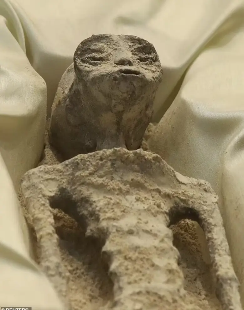 اجساد بیگانگان