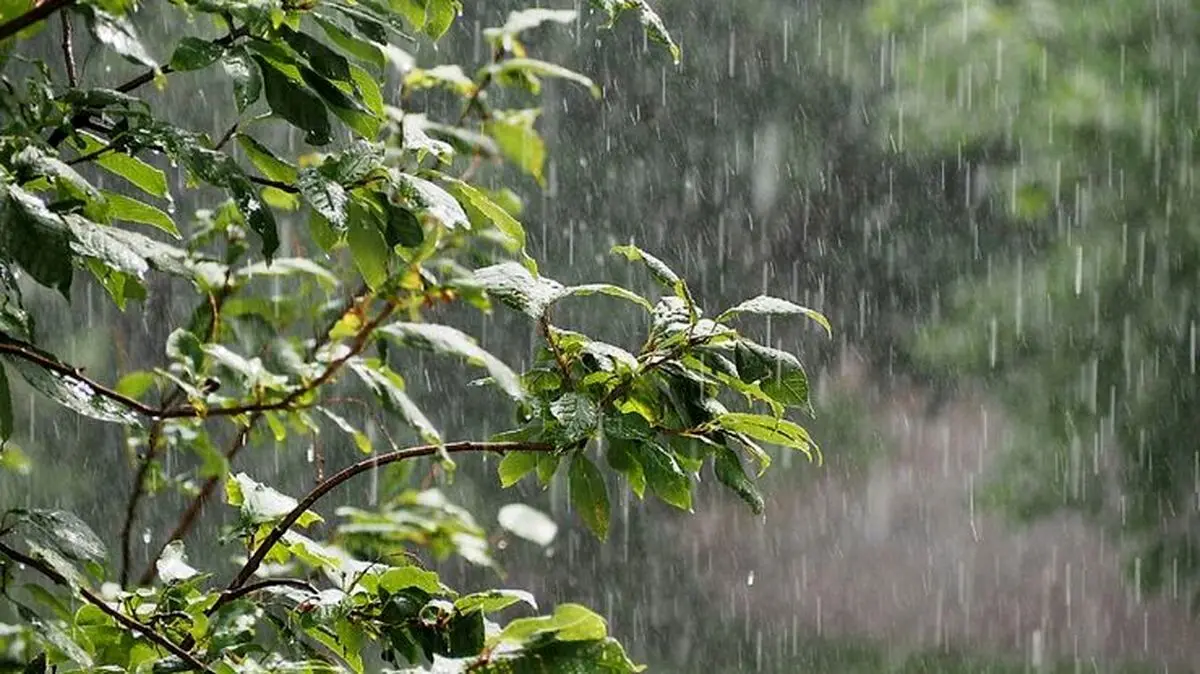 برعکس گفته ها چرا بارش پائیزی نداشتیم!!!!!