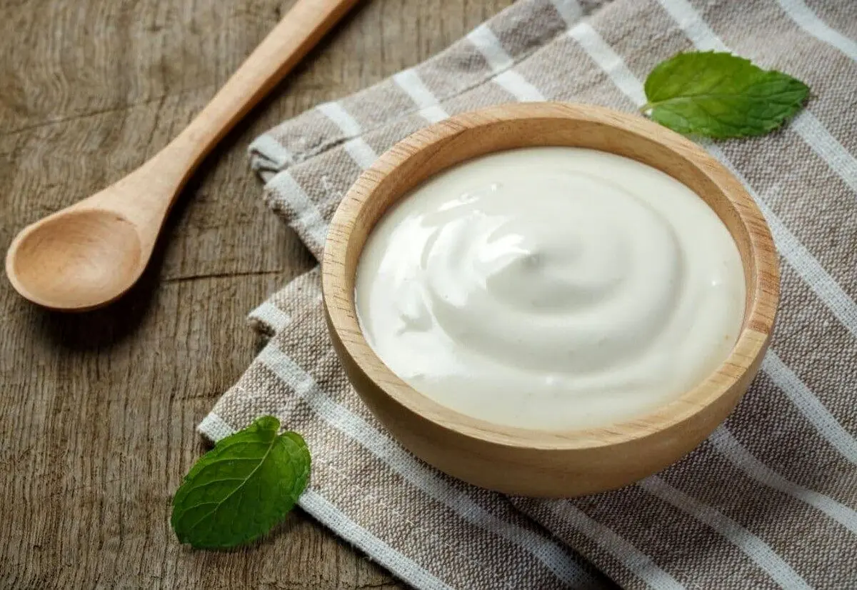 تاثیر باورنکردنی ماست بر ایمنی بدن! | با فواید باکتری موجود در ماست آشنا شوید