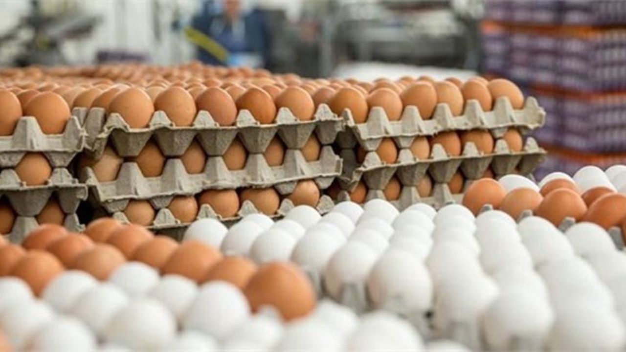 قیمت تخم مرغ به نرخ امروز 2 بهمن ماه چقدر می شود؟ | قیمت تخم مرغ بهمن ماه سرسام آور شد! تخم مرغ