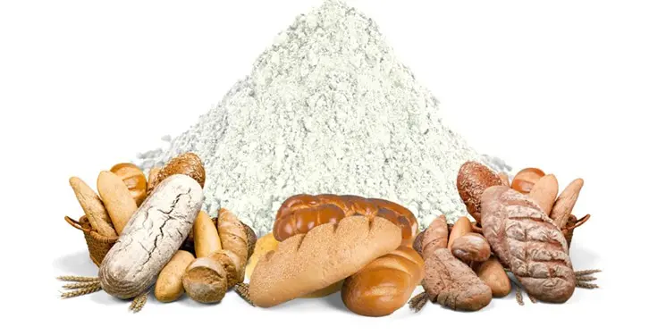 سلامت نان