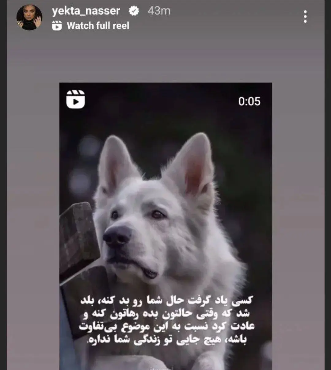 یکتا ناصر