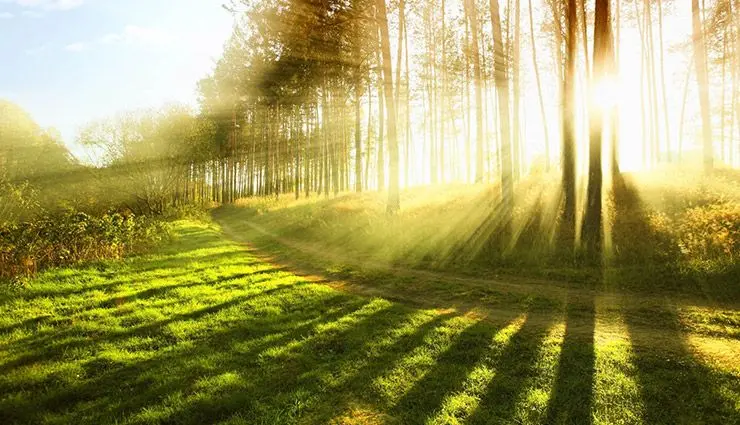 sunlight-compressor