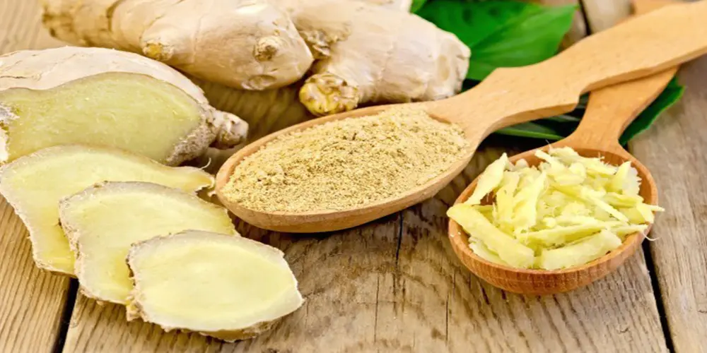 مصرف زنجبیل برای چه کسانی مفید است؟ | زنجبیل مسکنی طبیعی برای دل درد زنجبیل