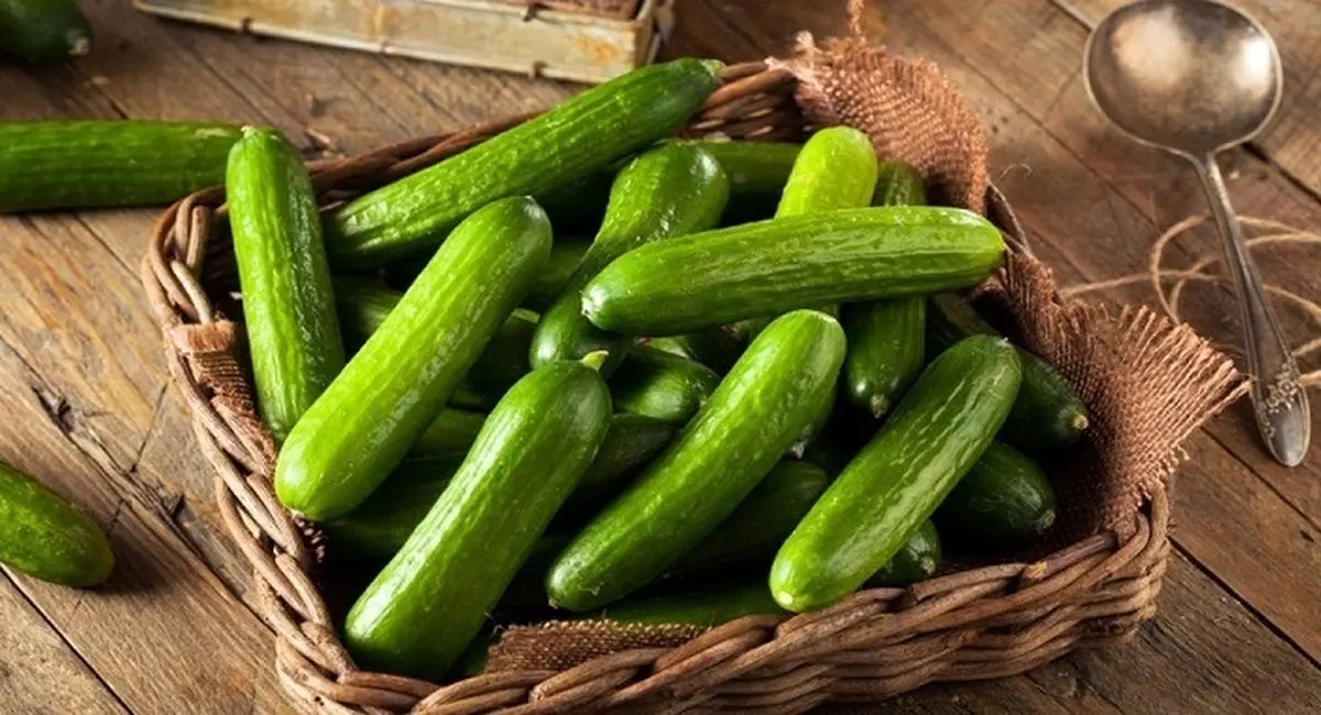 برای دوری از پوکی استخوان از این میوه استفاده کنید خیار