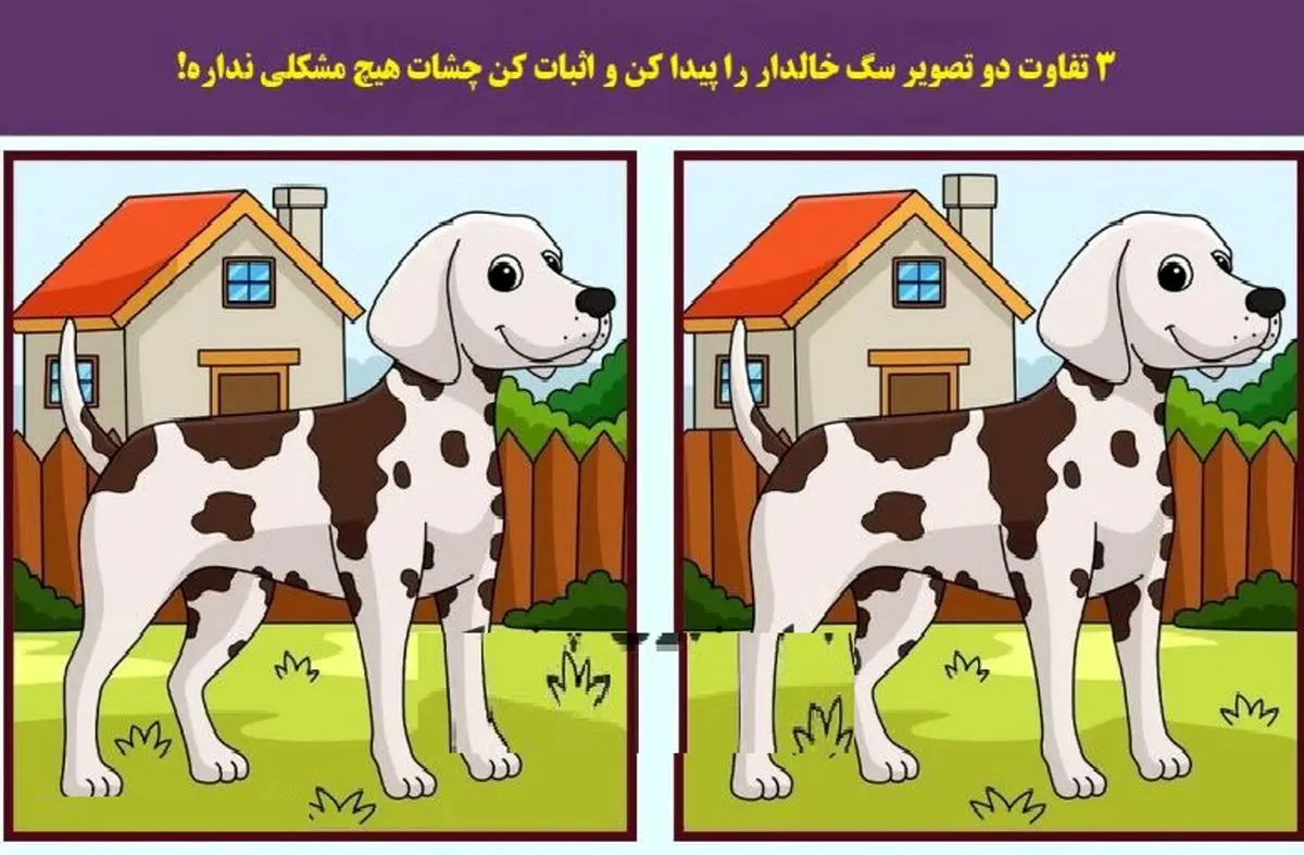 هوش خودت رو محک بزن؛ اگه تونستی 3 تفاوت رو عکس رو پیدا کنی!! | هوش خودت رو تست کن! هوش خودت رو محک بزن؛ اگه تونستی 3 تفاوت رو عکس رو پیدا کنی!! | هوش خودت رو تست کن!
