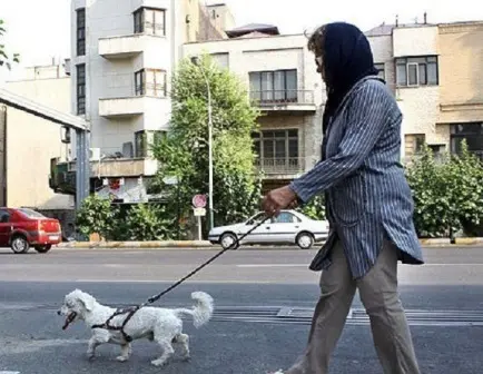 سگ گردان