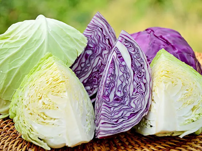 سیستم ایمنی بدن خود را در مقابل بیماری های واگیردار،آنفولانزا و سرماخوردگی افزایش دهید کلم برگ