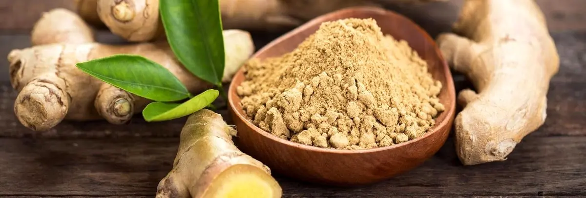 به هیچ وجه زنجبیل را دست کم نگیرید | زنجبیل بهترین ماده درمانی در خانه هاست به هیچ وجه زنجبیل را دست کم نگیرید | زنجبیل بهترین ماده درمانی در خانه هاست