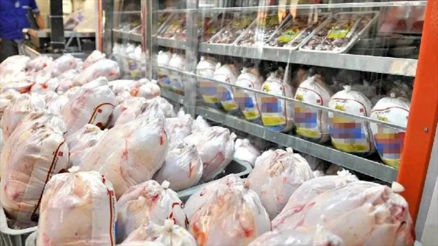 قیمت مرغ