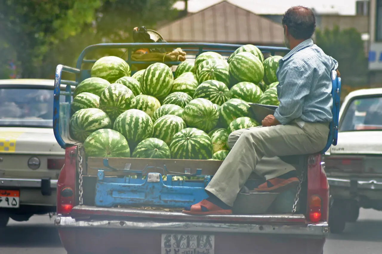هندوانه شناسی
