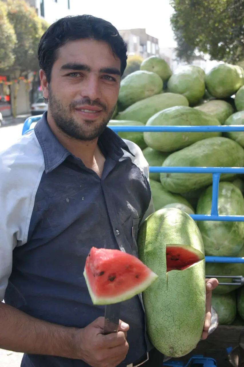 هندوانه شناسی