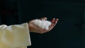 تبدیل پر مرغ به پارچه نفیس کشمیر تبدیل پر مرغ به پارچه نفیس کشمیر