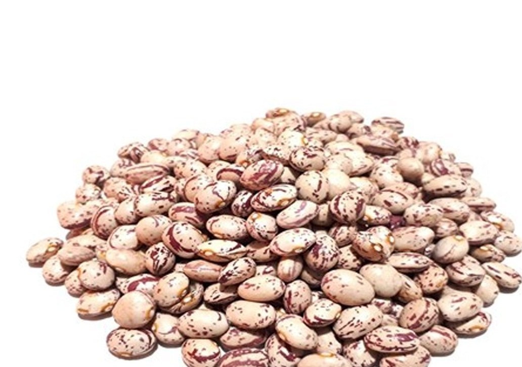 رشد 27 برابری قیمت لوبیا چیتی در 6 سال رشد 27 برابری قیمت لوبیا چیتی در 6 سال