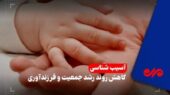 سقوط موالید و شتاب سالمندی در گیلان؛ وقتی تولد کمتر از مرگ میشود سقوط موالید و شتاب سالمندی در گیلان؛ وقتی تولد کمتر از مرگ میشود