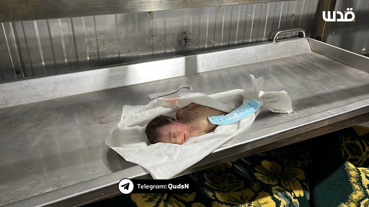 شهادت نوزاد یک ماهه در نوار غزه بهعلت سرمای شدید+ عکس شهادت نوزاد یک ماهه در نوار غزه بهعلت سرمای شدید+ عکس