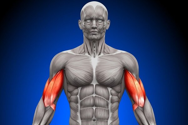 نامه مولکول‌های بدن به یکدیگر فاش شد