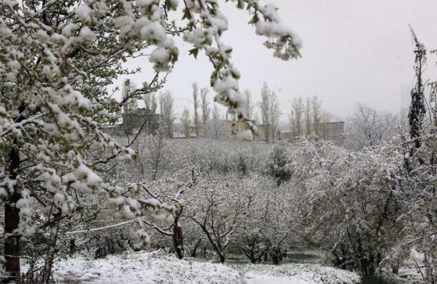 هشدار کاهش ۱۵ درجهای دما در ۲۲ استان با نفوذ توده هوای سرد از فردا هشدار کاهش ۱۵ درجهای دما در ۲۲ استان با نفوذ توده هوای سرد از فردا