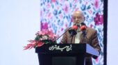 چمران: بانوان ظرفیتی ارزشمند برای تحول جدی در مدیریت شهری هستند چمران: بانوان ظرفیتی ارزشمند برای تحول جدی در مدیریت شهری هستند