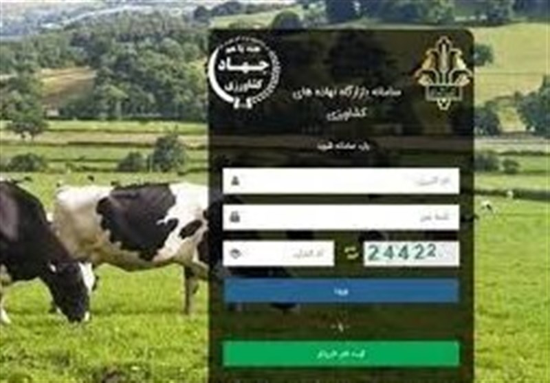 عرضه نهادههای دامی 8 برابر نیاز بازار عرضه نهادههای دامی 8 برابر نیاز بازار