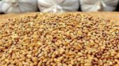 پرداخت تسهیلات برای خرید نهاده با حذف ارز ترجیحی پرداخت تسهیلات برای خرید نهاده با حذف ارز ترجیحی