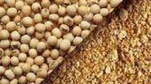 به‌روزرسانی قیمت کنجاله سویا و توقف ثبت سفارش‌های زمستانی