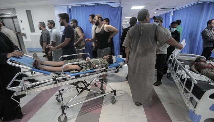 مقام بهداشتی در غزه زنگ خطر را به صدا درآورد مقام بهداشتی در غزه زنگ خطر را به صدا درآورد