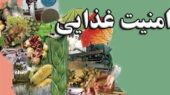 پرونده متفاوت «معماری نوین امنیت غذایی» در تسنیم