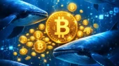 انباشت دوباره نهنگهای بیتکوین؛ کف قیمت در ۷۱هزار دلار شکل میگیرد؟ انباشت دوباره نهنگهای بیتکوین؛ کف قیمت در ۷۱هزار دلار شکل میگیرد؟