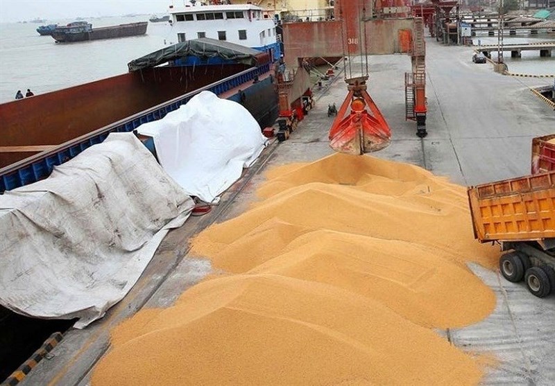 جهش تاریخی قیمت جهانی گندم و روغن در پی بحران خاورمیانه جهش تاریخی قیمت جهانی گندم و روغن در پی بحران خاورمیانه