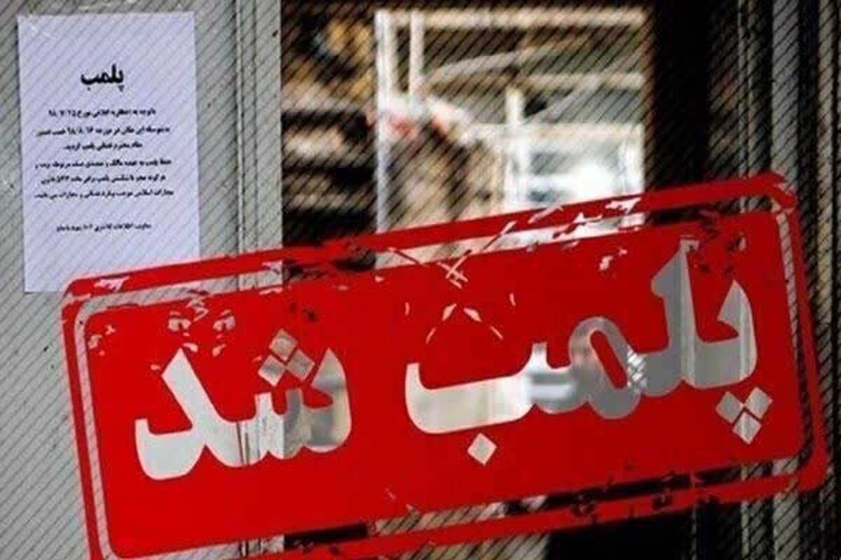 برخورد قاطع پلیس با دارندگان استارلینک / ۳ واحد صنفی در تهران پلمب شد برخورد قاطع پلیس با دارندگان استارلینک / ۳ واحد صنفی در تهران پلمب شد