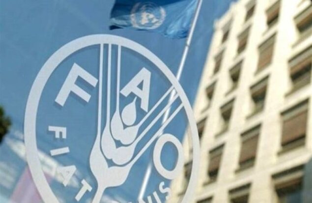 رشد 2.4 درصدی قیمت جهانی غذا در یک ماهه جنگ آمریکا علیه ایران