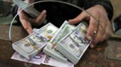 فروش دلار توسط شعب برخی بانک‌ها / بانک مرکزی پس از شوک قیمتی به بازار دست به کار شد